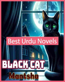 Black Cat