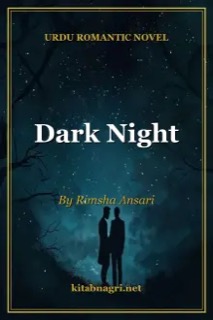 Dark Night