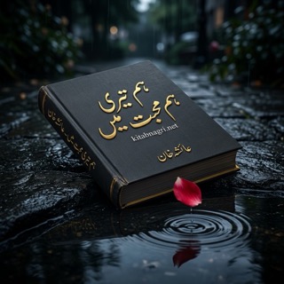 Hum Teri Mohabbat Mein