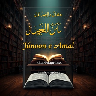 Junoon e Amal