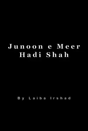 Junoon e Meer Hadi Shah