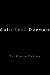 Main Teri Deewani