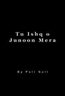 Tu Ishq o Junoon Mera