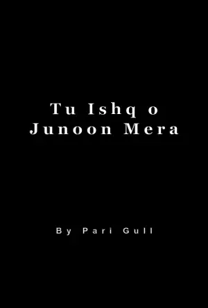 Tu Ishq o Junoon Mera