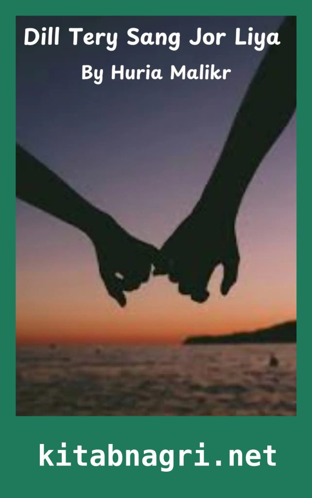 Dill Tery Sang Jor Liya Novel By Huria Malik