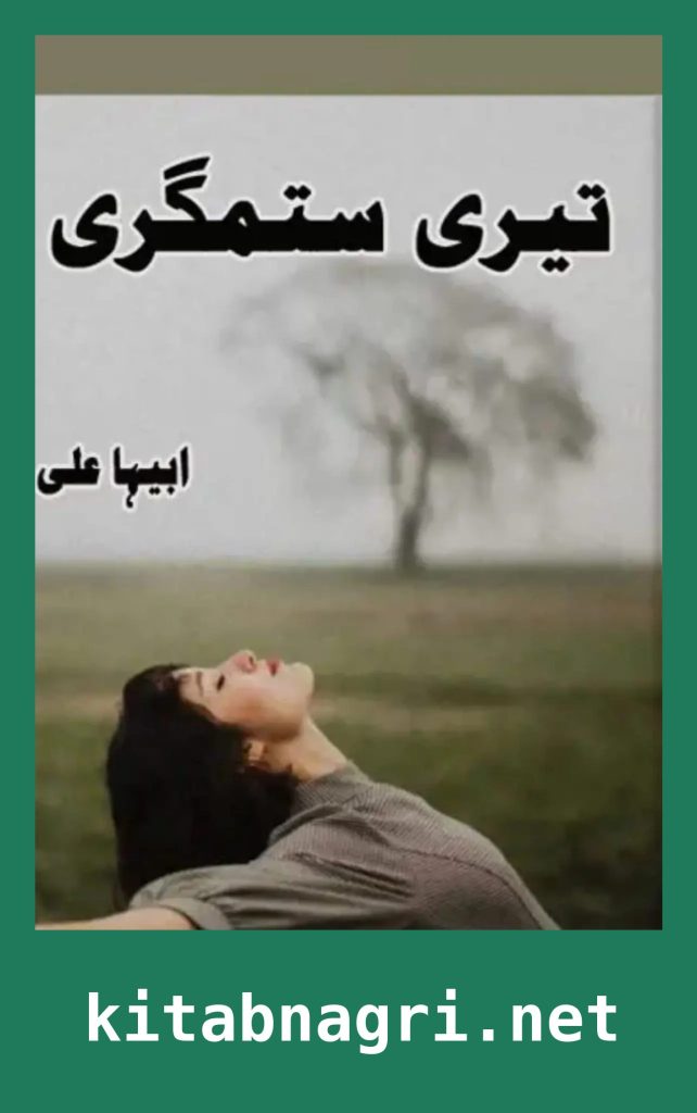 Teri Sitamgari Novel By Abeeha Ali
