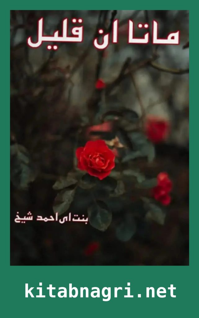 Mata Un Qaleel Novel By Bint E Ahmed