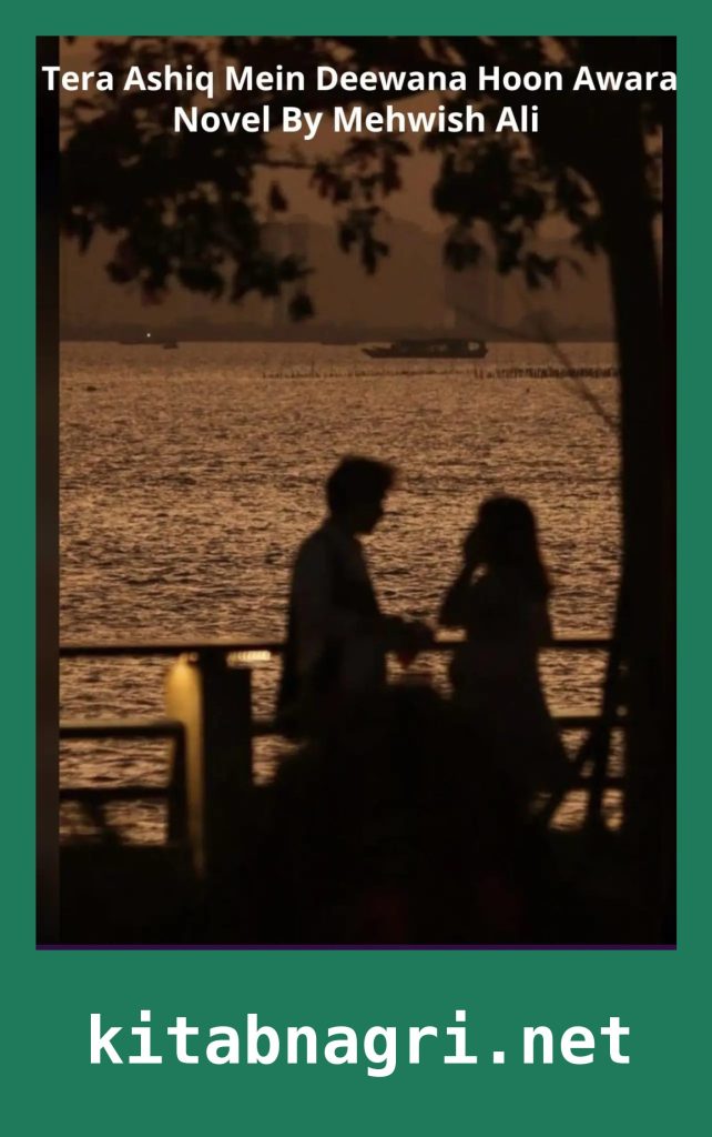 Tera Ashiq Mein Deewana Hoon Awara Novel By Mehwish Ali