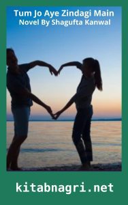 Tum Jo Aye Zindagi Main Novel By Shagufta Kanwal Season 1 and 2