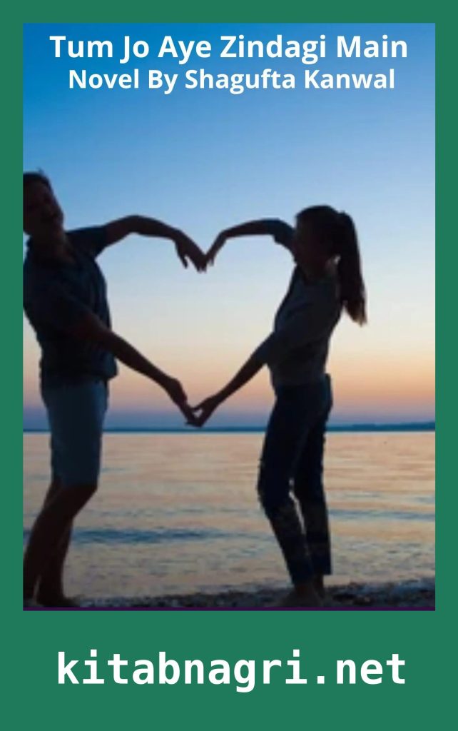 Tum Jo Aye Zindagi Main Novel By Shagufta Kanwal Season 1 and 2