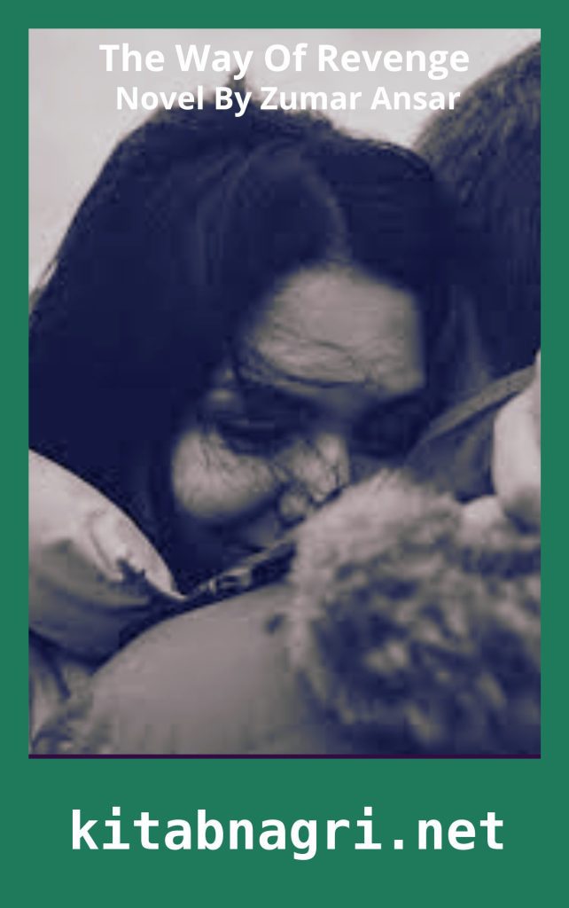 The Way Of Revenge Novel By Zumar Ansari