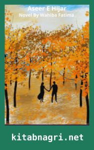 Aseer E Hijar Novel By Wahiba Fatima
